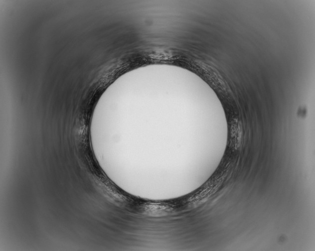 X0000098210614200805151255