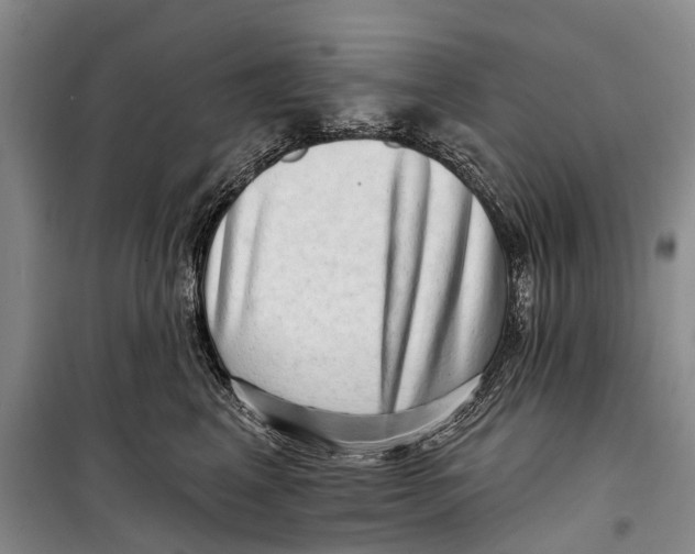X0000098210617200805151254