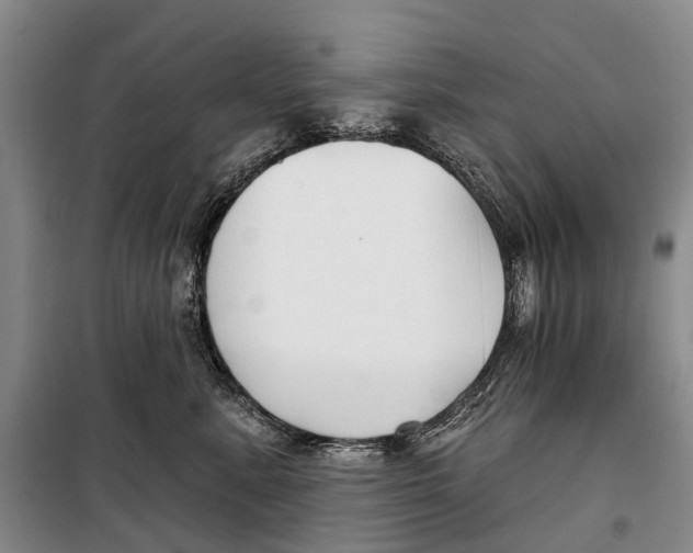 X0000098210619200805151254