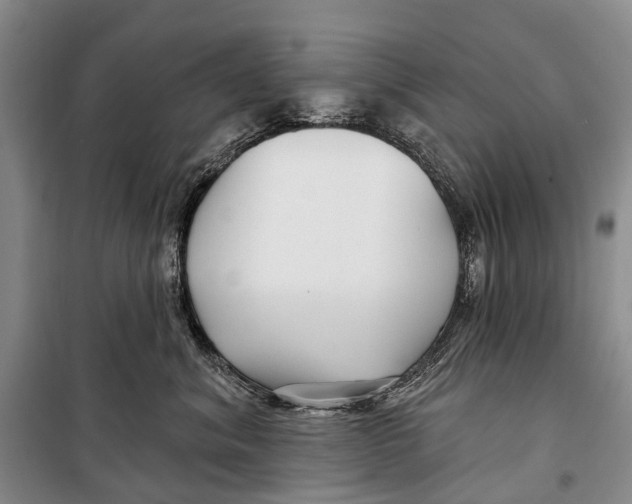 X0000098210620200805151254