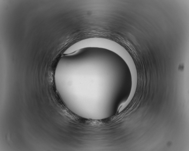 X0000098210621200805151254