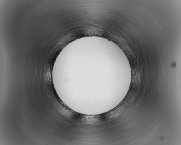 X0000098210622200805151254