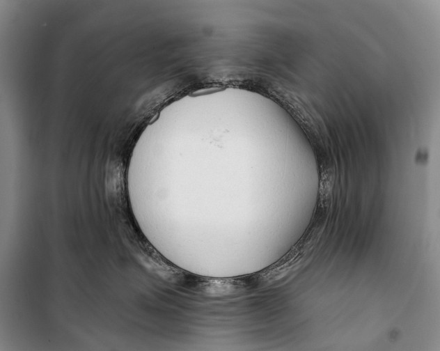 X0000098210623200805151254
