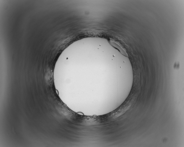 X0000098210624200805151254