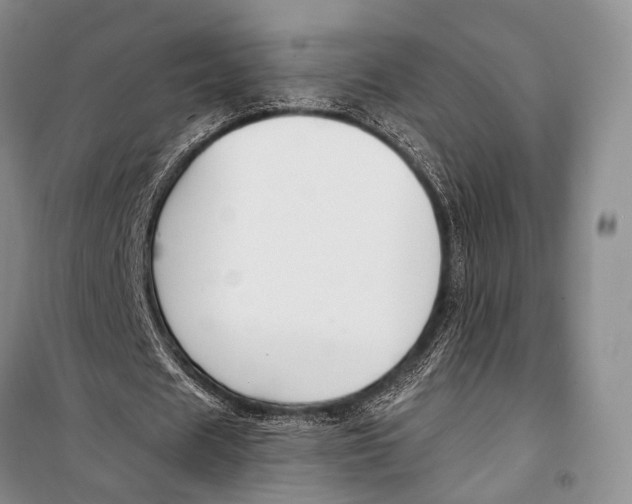 X0000098210625200805151254