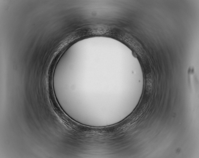 X0000098210626200805151254