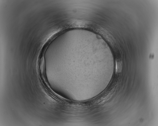 X0000098210627200805151254