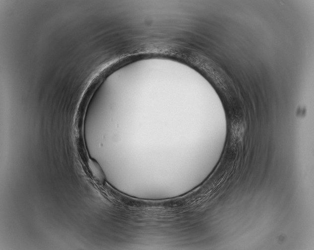 X0000098210628200805151254