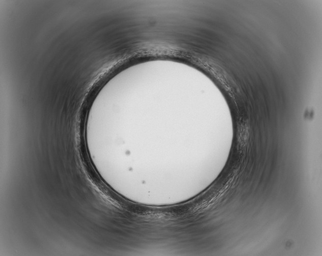 X0000098210629200805151254