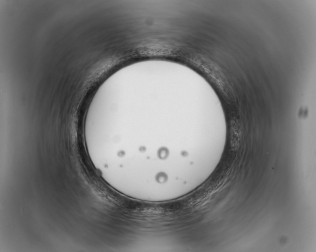 X0000098210631200805151254