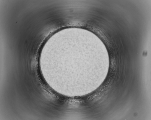 X0000098210632200805151254