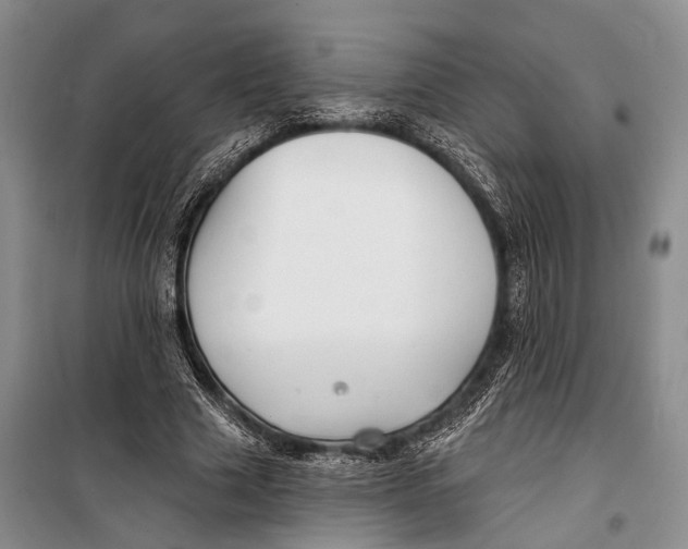 X0000098210633200805151254