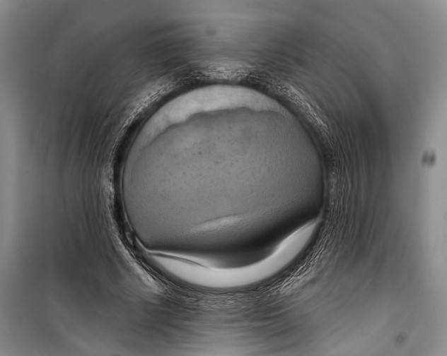 X0000098210634200805151254