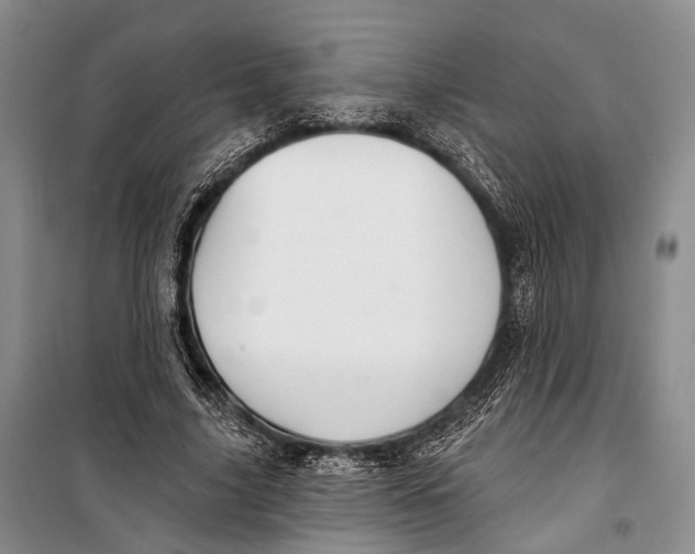 X0000098210635200805151254