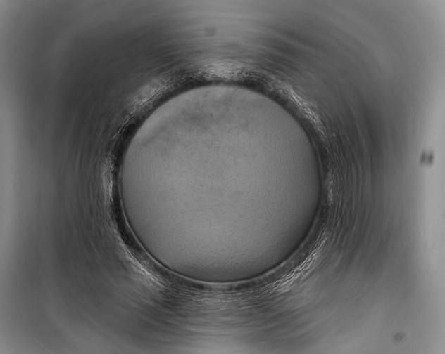 X0000098210637200805151254