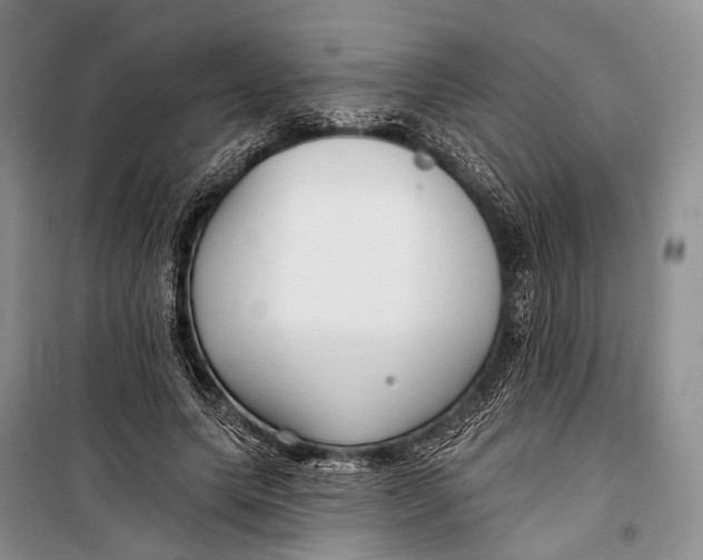 X0000098210639200805151254