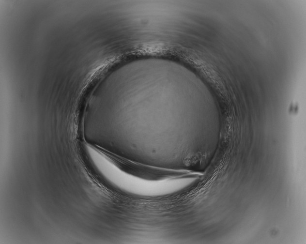X0000098210640200805151254