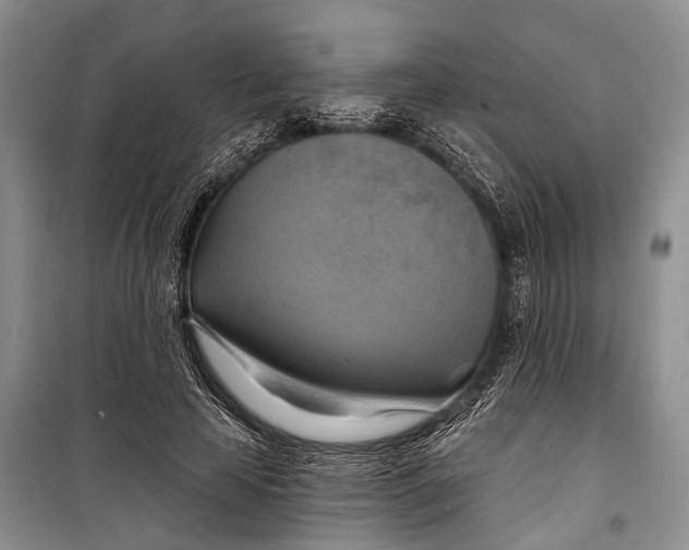 X0000098210641200805151254
