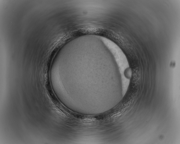 X0000098210642200805151254