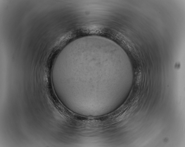 X0000098210643200805151254