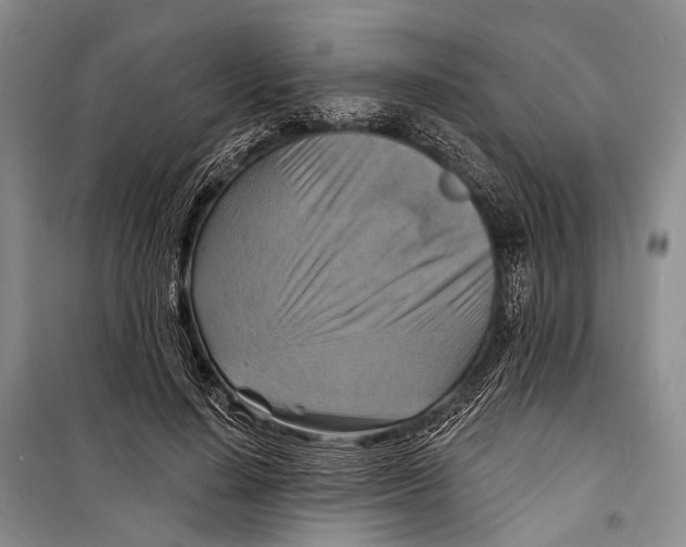 X0000098210644200805151254