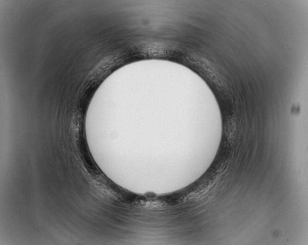 X0000098210645200805151254