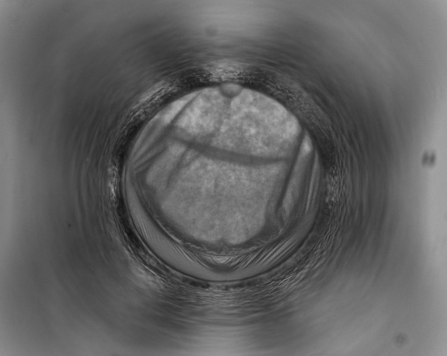 X0000098210648200805151254