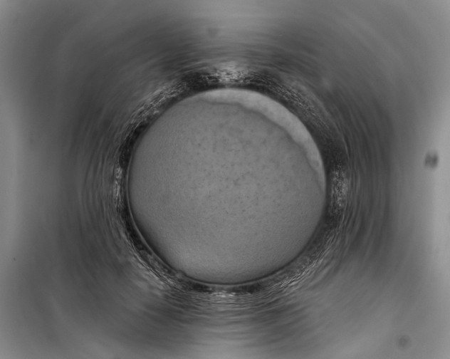 X0000098210650200805151254
