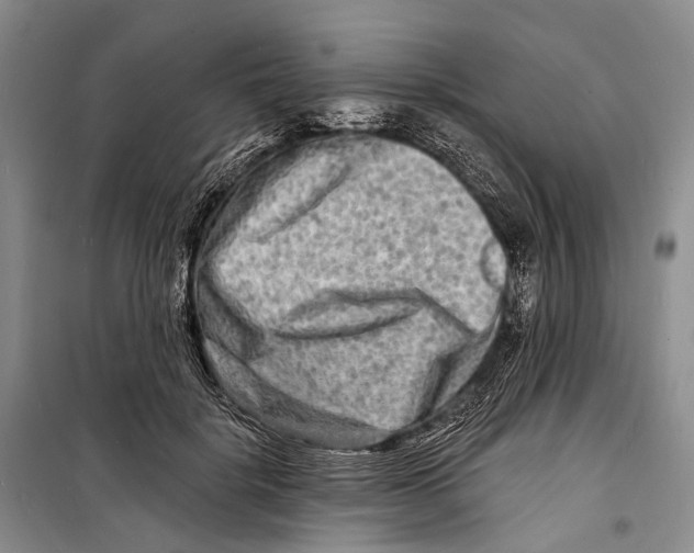X0000098210652200805151254