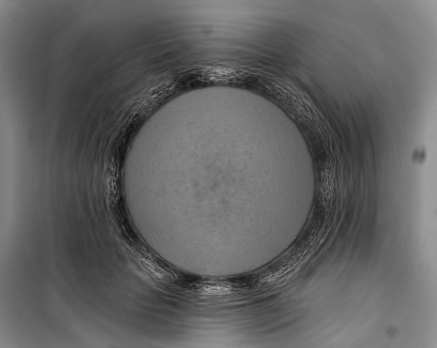 X0000098210653200805151254