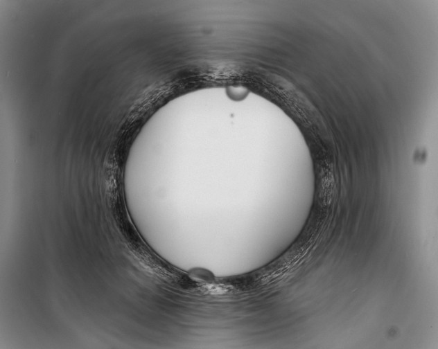 X0000098210654200805151254