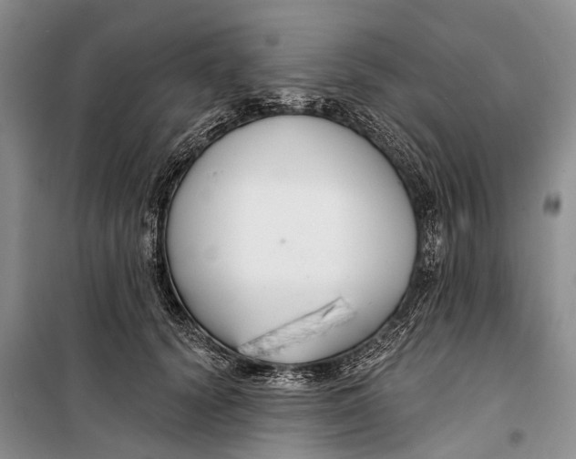 X0000098210656200805151254