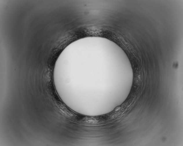 X0000098210658200805151254