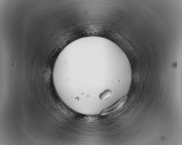 X0000098210660200805151254