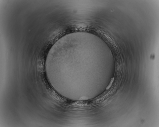 X0000098210661200805151254