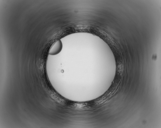X0000098210662200805151254