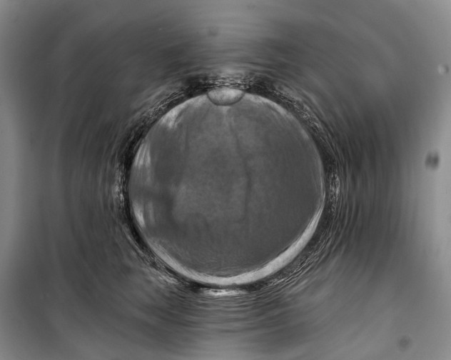 X0000098210663200805151254