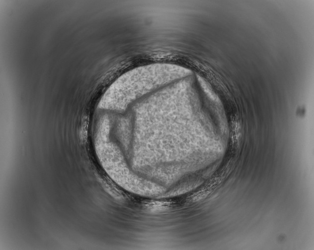 X0000098210664200805151254