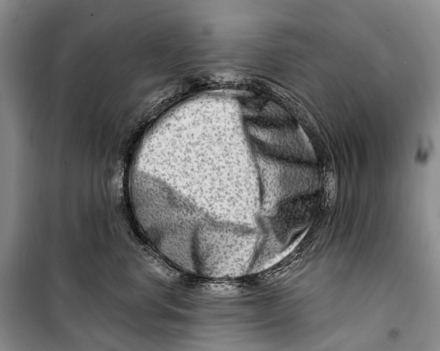 X0000098210668200805151254