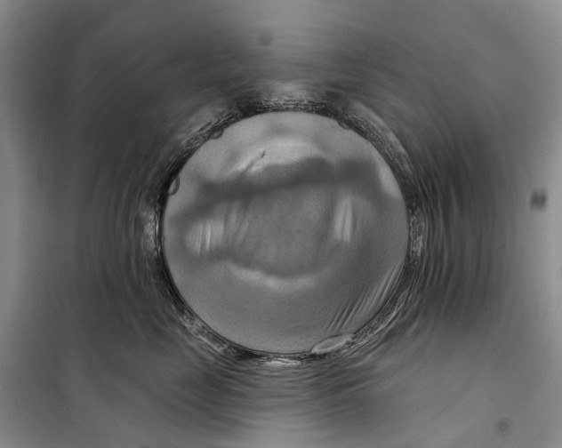 X0000098210669200805151254