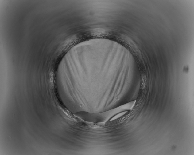 X0000098210670200805151254