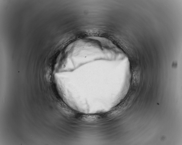 X0000098210671200805151254