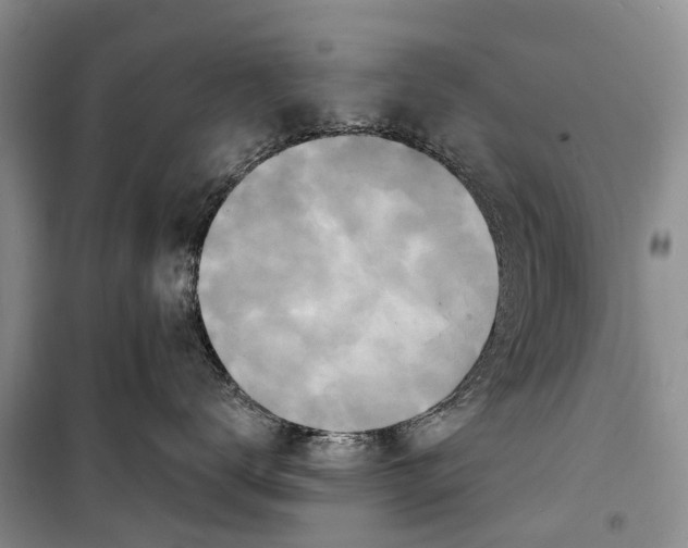 X0000098210672200805151254