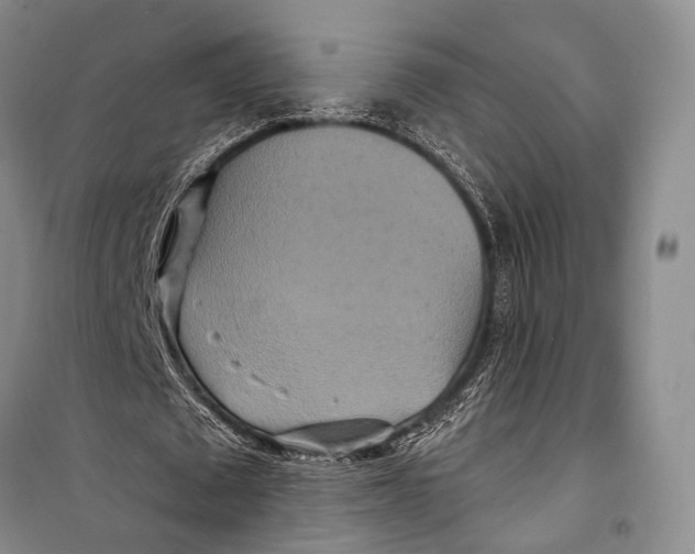 X0000098210673200805151254