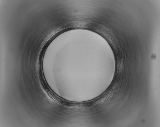 X0000098210674200805151254