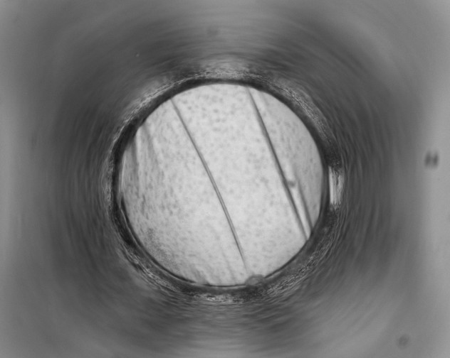 X0000098210675200805151254