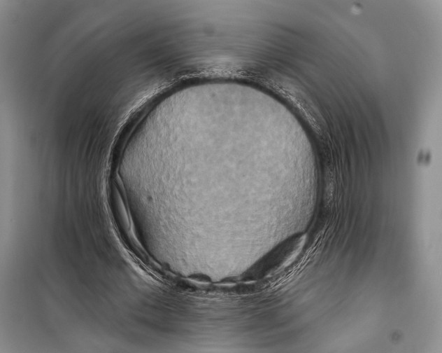 X0000098210677200805151253