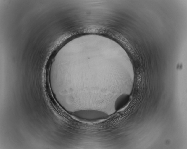 X0000098210678200805151253