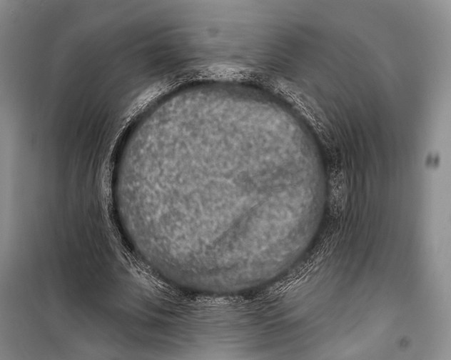 X0000098210679200805151253