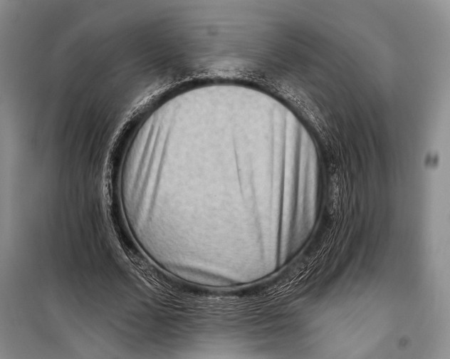 X0000098210680200805151253
